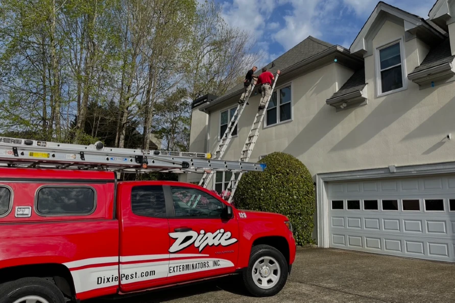 Dixie Technicians at House